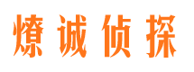 景东市调查公司